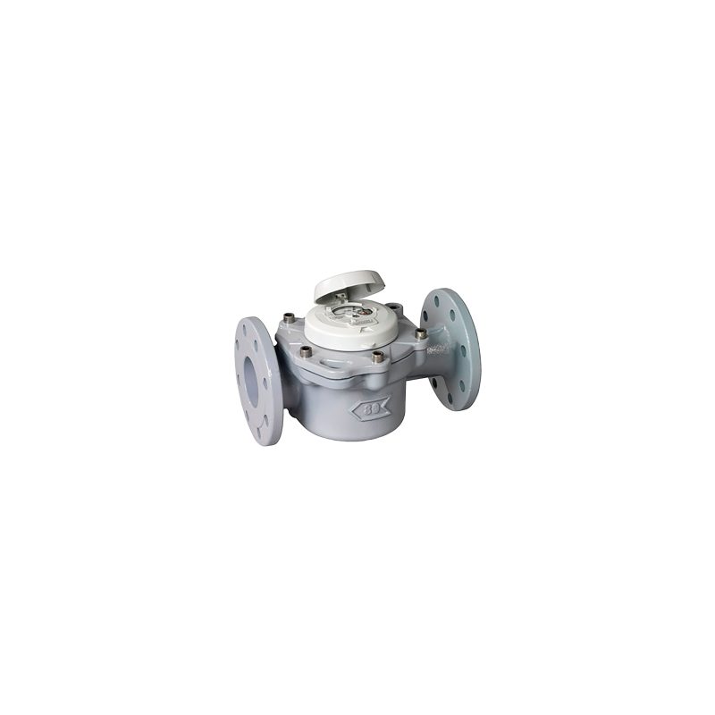 TMG Smart Meter